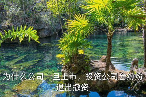 為什么公司一旦上市，投資公司會紛紛退出撤資
