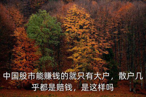 中國股市能賺錢的就只有大戶，散戶幾乎都是賠錢，是這樣嗎
