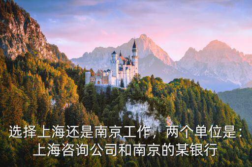 選擇上海還是南京工作，兩個單位是：上海咨詢公司和南京的某銀行