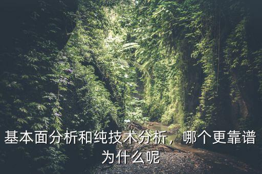 基本面分析和純技術(shù)分析，哪個(gè)更靠譜為什么呢