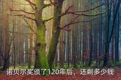 諾貝爾獎(jiǎng)?lì)C了120年后，還剩多少錢
