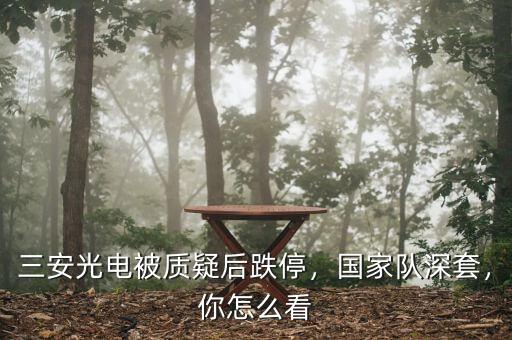 三安光電被質(zhì)疑后跌停，國家隊深套，你怎么看