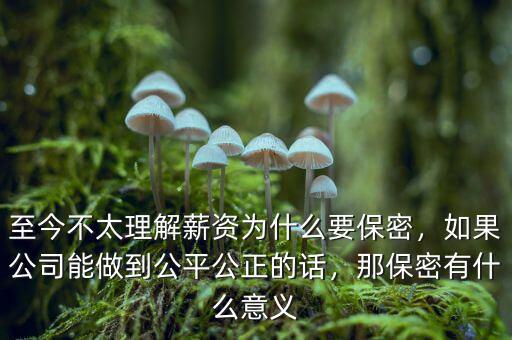 至今不太理解薪資為什么要保密，如果公司能做到公平公正的話，那保密有什么意義