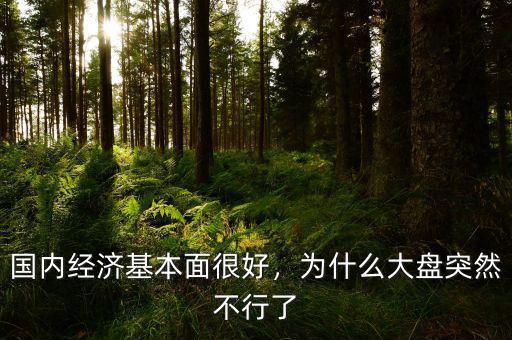 國(guó)內(nèi)經(jīng)濟(jì)基本面很好，為什么大盤(pán)突然不行了