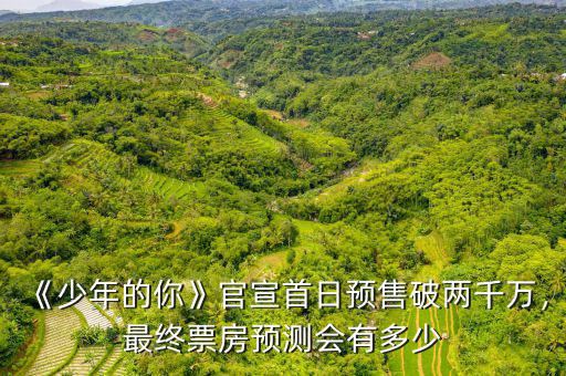 《少年的你》官宣首日預(yù)售破兩千萬，最終票房預(yù)測會有多少