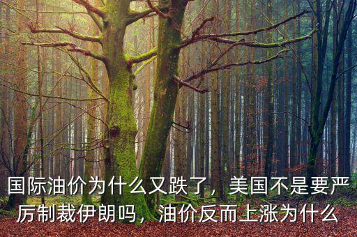 國際油價為什么又跌了，美國不是要嚴厲制裁伊朗嗎，油價反而上漲為什么