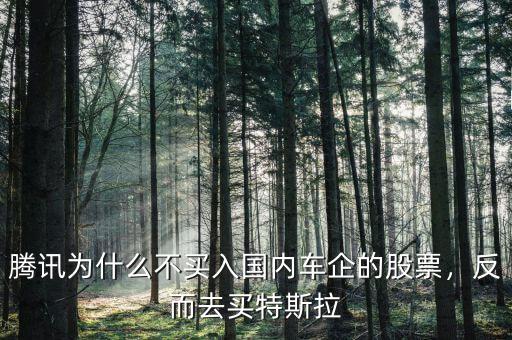 騰訊為什么不買入國內車企的股票，反而去買特斯拉