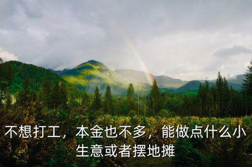 不想打工，本金也不多，能做點(diǎn)什么小生意或者擺地?cái)? class=