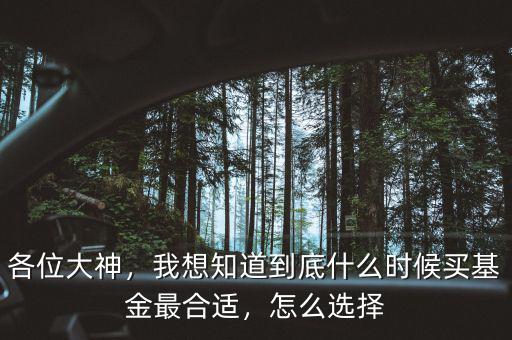 各位大神，我想知道到底什么時(shí)候買基金最合適，怎么選擇