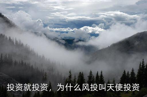 投資就投資，為什么風(fēng)投叫天使投資