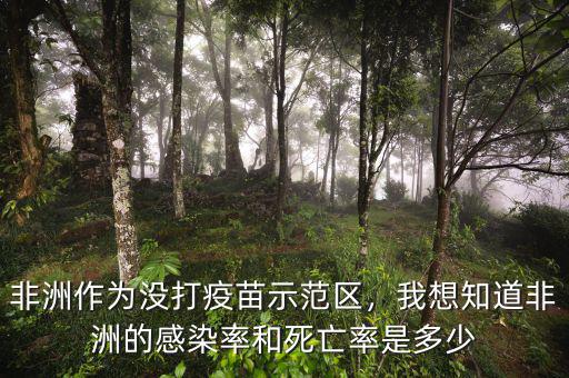 非洲作為沒(méi)打疫苗示范區(qū)，我想知道非洲的感染率和死亡率是多少
