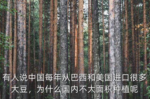 有人說中國每年從巴西和美國進(jìn)口很多大豆，為什么國內(nèi)不大面積種植呢