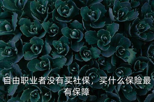自由職業(yè)者沒有買社保，買什么保險最有保障