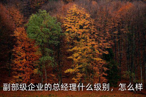 副部級(jí)企業(yè)的總經(jīng)理什么級(jí)別，怎么樣