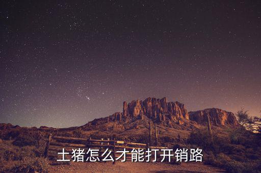 土豬怎么才能打開(kāi)銷(xiāo)路