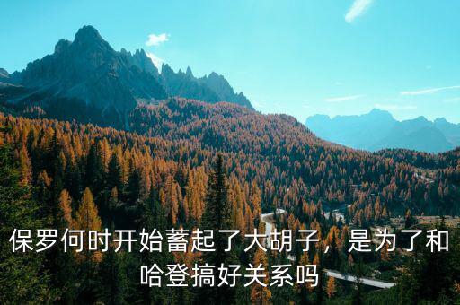 保羅何時(shí)開始蓄起了大胡子，是為了和哈登搞好關(guān)系嗎