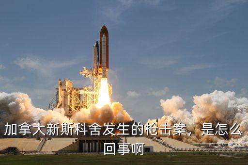 加拿大新斯科舍發(fā)生的槍擊案，是怎么回事啊