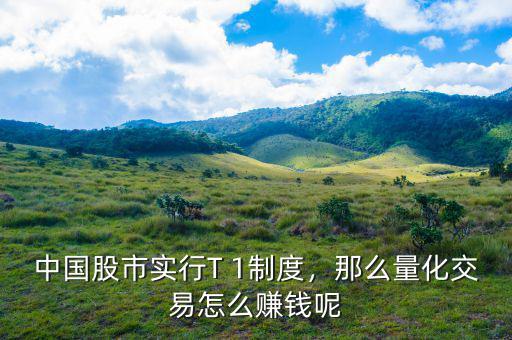 中國(guó)股市實(shí)行T 1制度，那么量化交易怎么賺錢(qián)呢