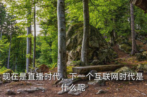 互聯(lián)網(wǎng)時(shí)代過去后是什么,下一個(gè)互聯(lián)網(wǎng)時(shí)代是什么呢