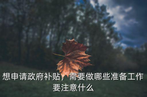 想申請(qǐng)政府補(bǔ)貼，需要做哪些準(zhǔn)備工作要注意什么