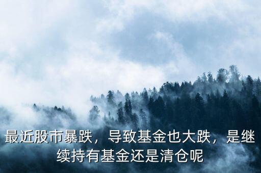最近股市暴跌，導(dǎo)致基金也大跌，是繼續(xù)持有基金還是清倉呢