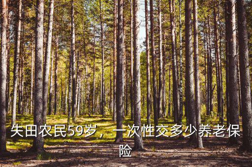 失田農(nóng)民59歲，一次性交多少養(yǎng)老保險(xiǎn)