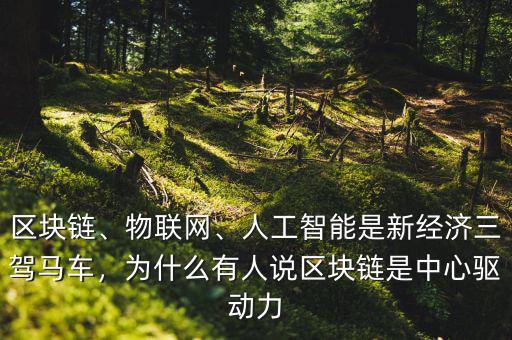 區(qū)塊鏈、物聯(lián)網(wǎng)、人工智能是新經(jīng)濟三駕馬車，為什么有人說區(qū)塊鏈?zhǔn)侵行尿?qū)動力