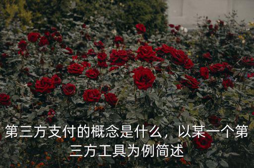 第三方支付的概念是什么，以某一個(gè)第三方工具為例簡(jiǎn)述