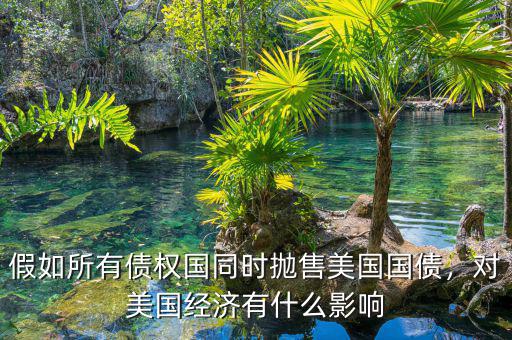 假如所有債權(quán)國同時(shí)拋售美國國債，對美國經(jīng)濟(jì)有什么影響