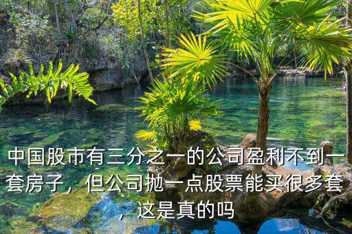 中國(guó)股市有三分之一的公司盈利不到一套房子，但公司拋一點(diǎn)股票能買很多套，這是真的嗎