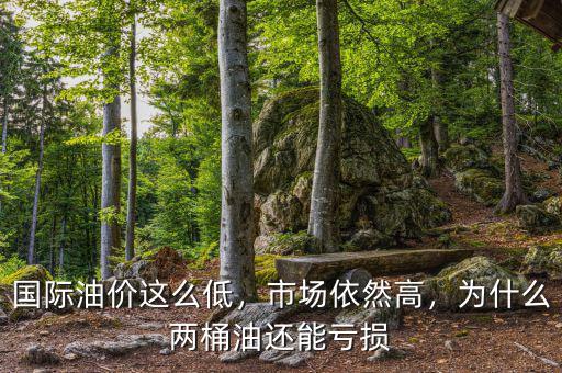 國際油價(jià)這么低，市場依然高，為什么兩桶油還能虧損