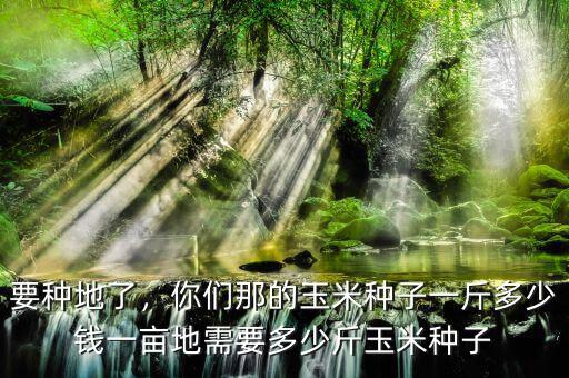 要種地了，你們那的玉米種子一斤多少錢一畝地需要多少斤玉米種子
