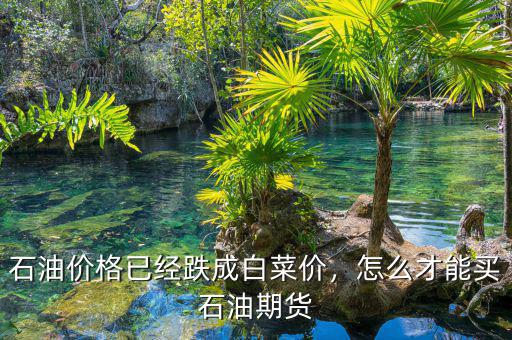石油價格已經跌成白菜價，怎么才能買石油期貨