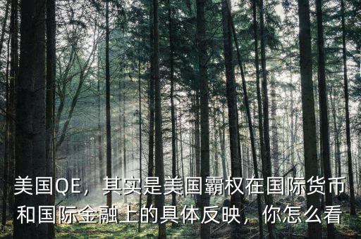 美國QE，其實是美國霸權在國際貨幣和國際金融上的具體反映，你怎么看