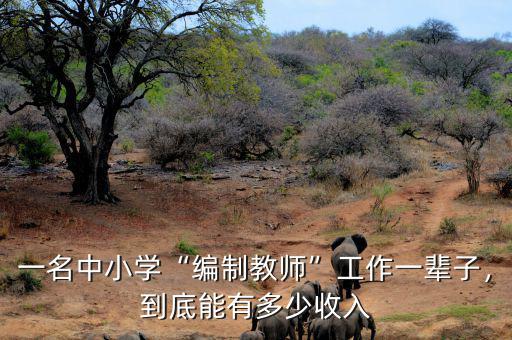 一名中小學(xué)“編制教師”工作一輩子，到底能有多少收入