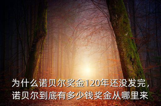 為什么諾貝爾獎(jiǎng)金120年還沒發(fā)完，諾貝爾到底有多少錢獎(jiǎng)金從哪里來