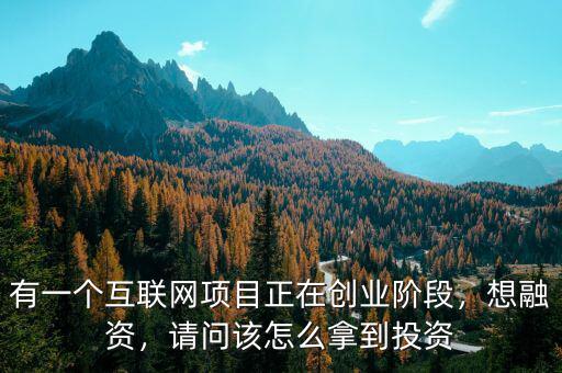 有一個(gè)互聯(lián)網(wǎng)項(xiàng)目正在創(chuàng)業(yè)階段，想融資，請(qǐng)問(wèn)該怎么拿到投資
