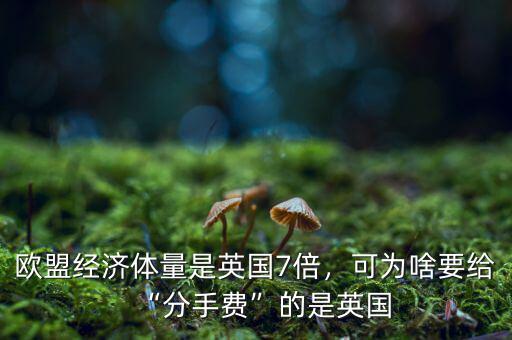 歐盟經(jīng)濟(jì)體量是英國(guó)7倍，可為啥要給“分手費(fèi)”的是英國(guó)