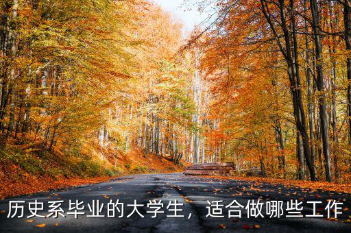 歷史系畢業(yè)的大學(xué)生，適合做哪些工作
