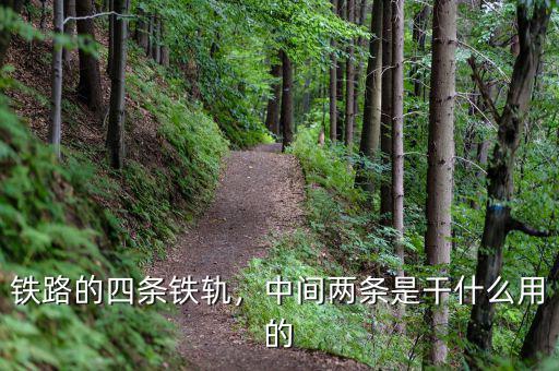 鐵路的四條鐵軌，中間兩條是干什么用的