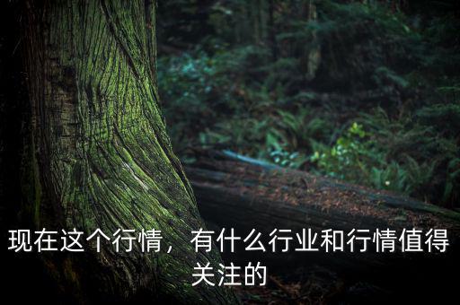 現(xiàn)在這個行情，有什么行業(yè)和行情值得關(guān)注的