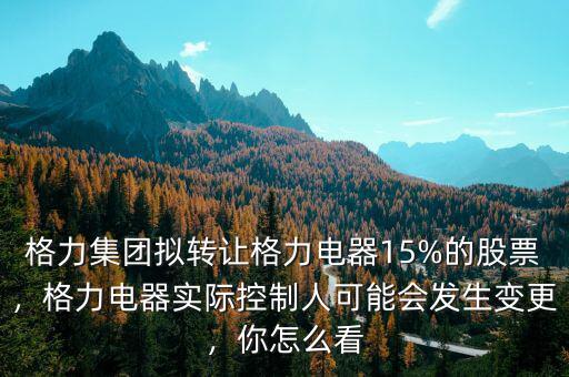 格力集團擬轉(zhuǎn)讓格力電器15%的股票，格力電器實際控制人可能會發(fā)生變更，你怎么看