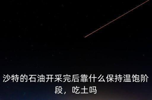 沙特的石油開(kāi)采完后靠什么保持溫飽階段，吃土嗎