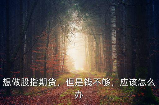 想做股指期貨，但是錢不夠，應該怎么辦