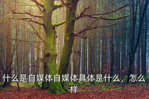 什么是自媒體自媒體具體是什么，怎么樣