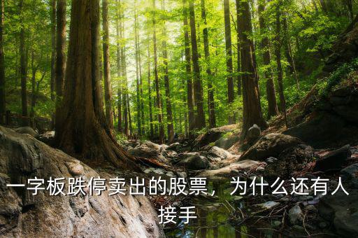 一字板跌停賣出的股票，為什么還有人接手
