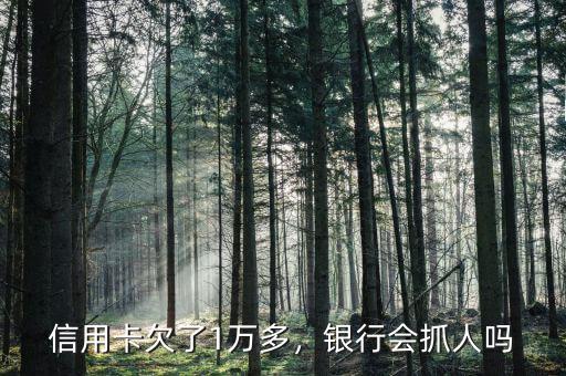 信用卡欠了1萬多，銀行會(huì)抓人嗎