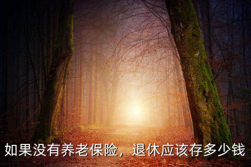 如果沒有養(yǎng)老保險(xiǎn)，退休應(yīng)該存多少錢