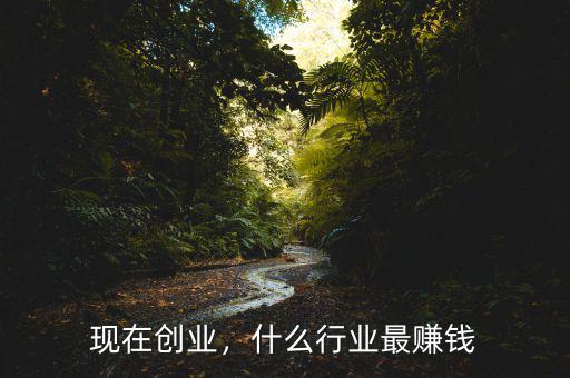 現(xiàn)在創(chuàng)業(yè)，什么行業(yè)最賺錢