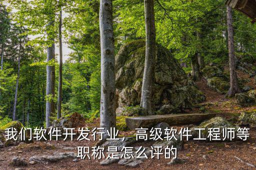 我們軟件開發(fā)行業(yè)，高級軟件工程師等職稱是怎么評的